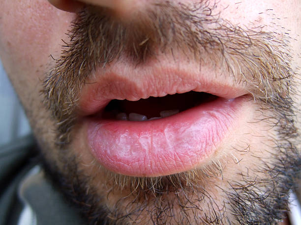 Magloire, 31 ans, Leugny
